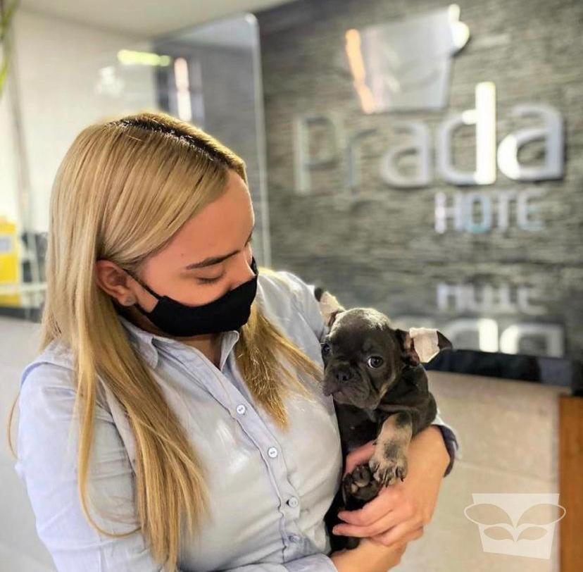 Hotel Prada Sas 벨로 외부 사진